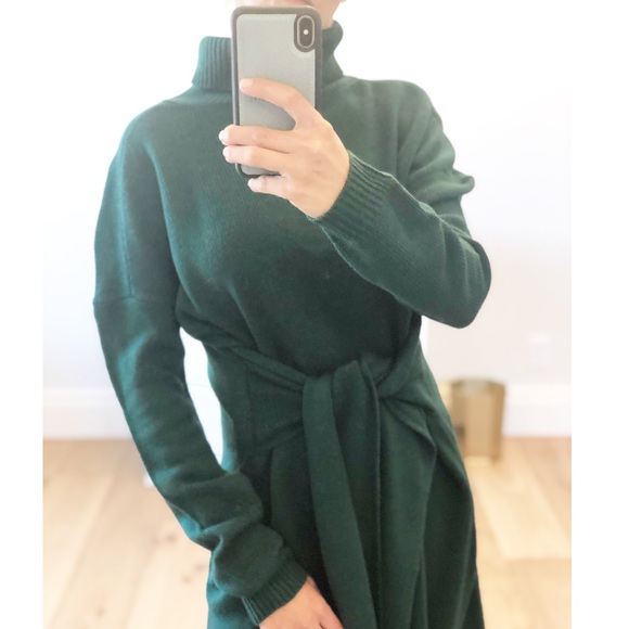 TORREY PINES Green Tie Turtleneck Sweater Dress - Picture 3 of 11